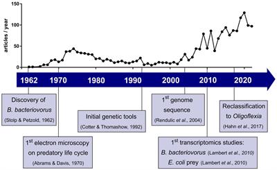 Advances in cellular and molecular predatory biology of Bdellovibrio bacteriovorus six decades after discovery